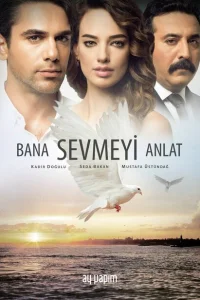 Расскажи мне, как любить турецкий сериал